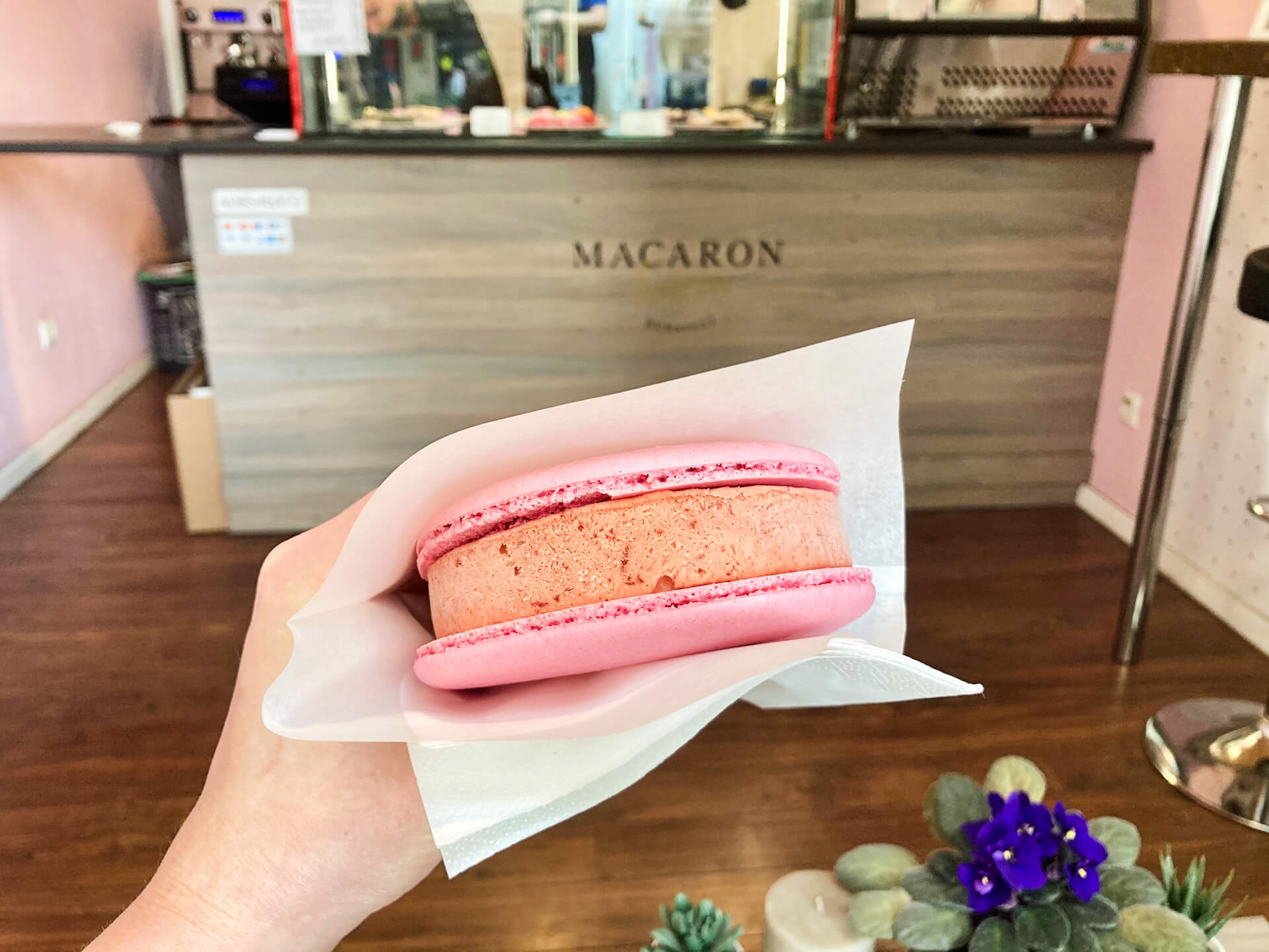 Macaron Heaven