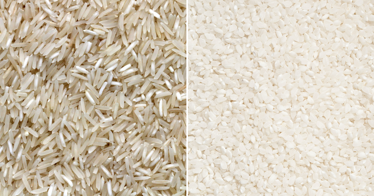rizs-fajtak-rovid-hosszu